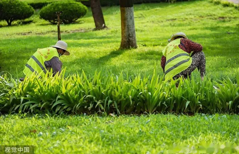 物业园林管理岗面试技巧：如何在短短时间内给出出色的答案？