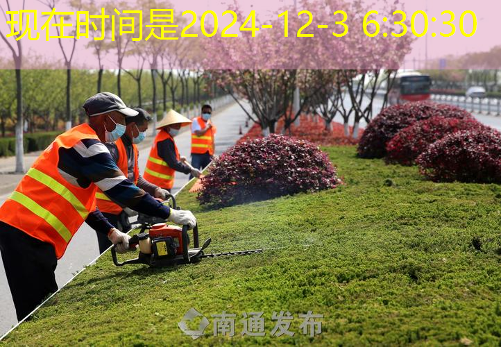 攀枝花绿化工程招标网站查询