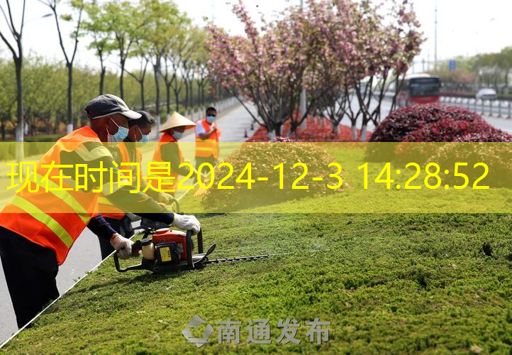 文山草坪绿化工程