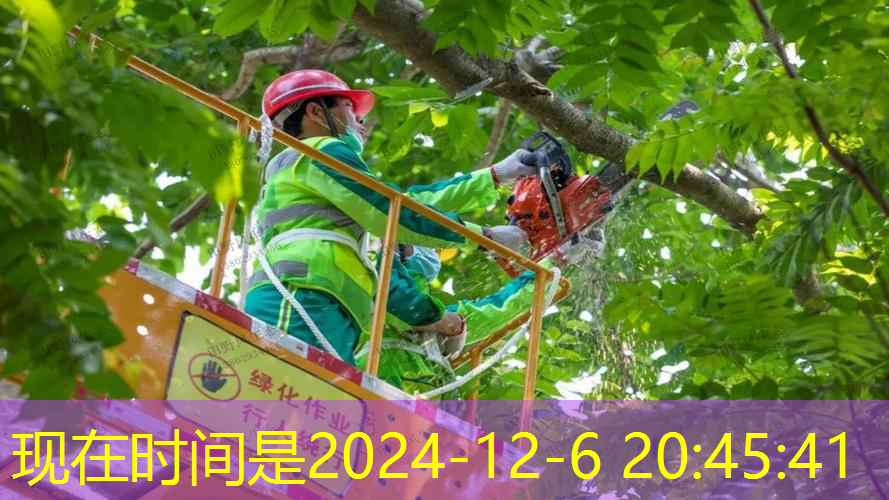 现代古风园林景观设计