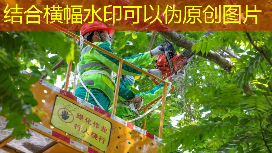 惠州园林绿化工程合同