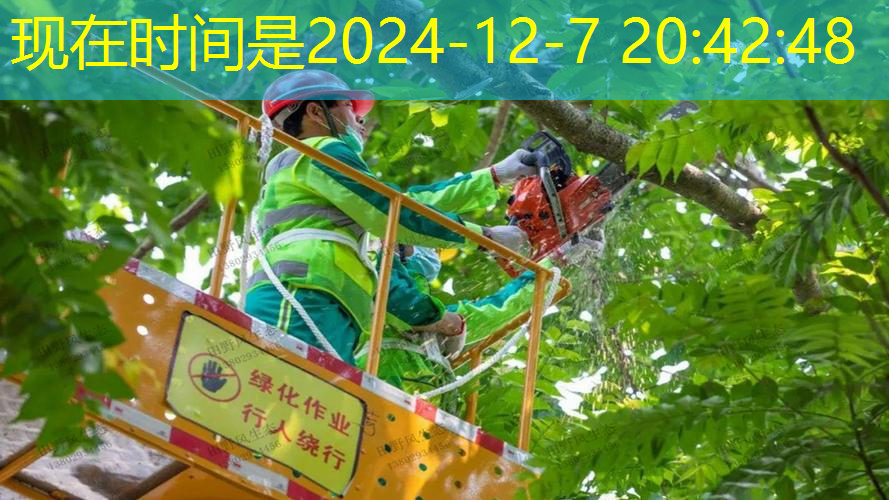 沥青路面绿化工程量计算