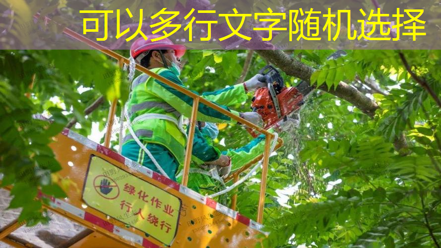 哈尔滨城市绿化包括哪些内容