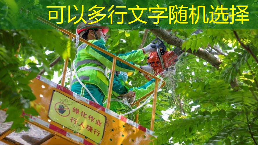 佛山绿化工程施工工艺