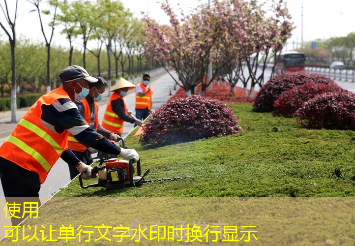 别墅500平方园林景观设计