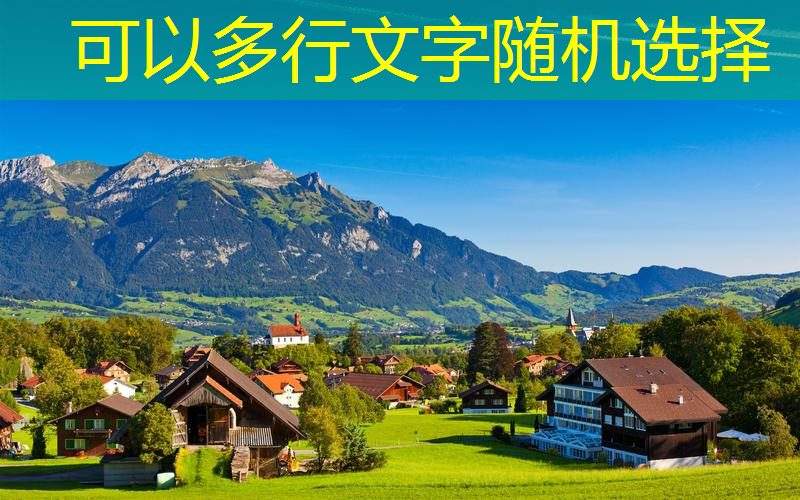 威海绿化工程楸树供应商