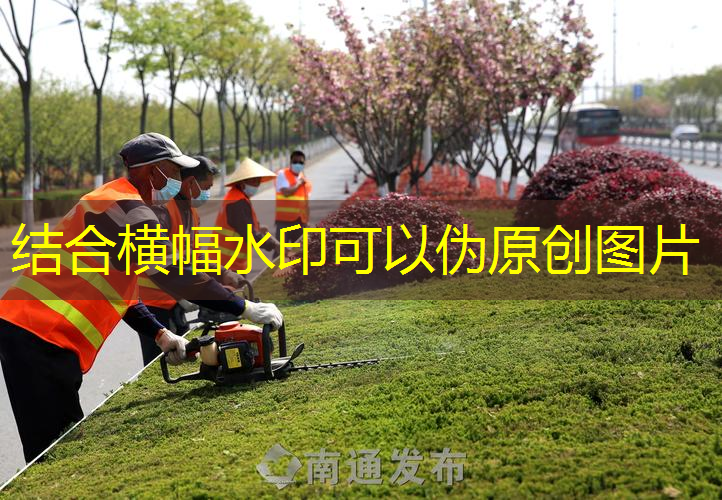 太原植物绿化工程招标