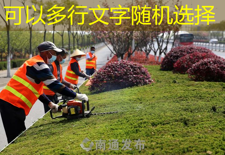 市政道路绿化工程监理要点