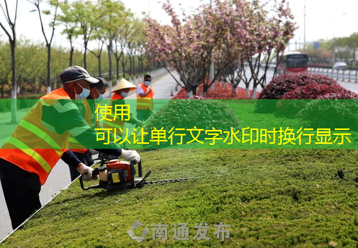 任丘容绿化举报热线