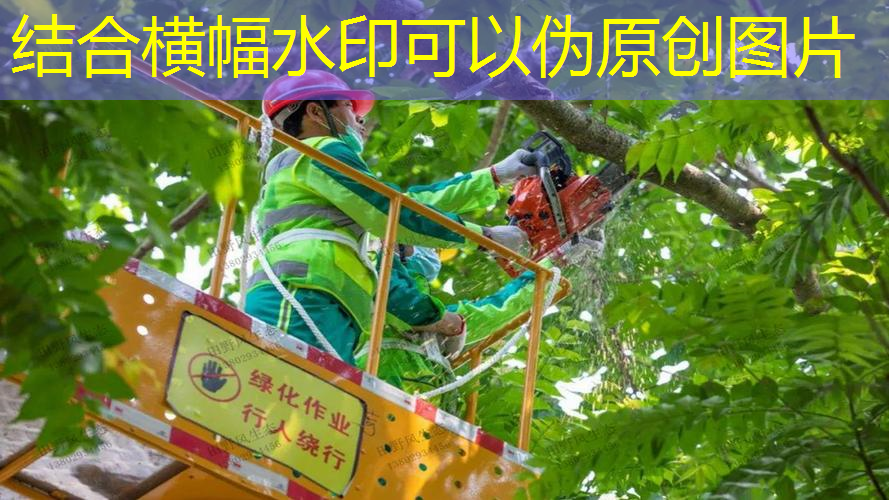 太和城市绿化面积多大
