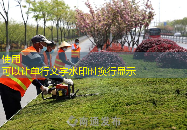 天长市政绿化是什么工作