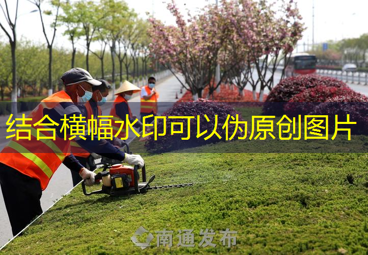 思茅绿化有限公司石牌苗圃