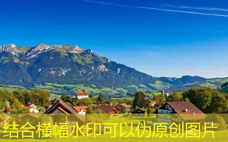 市政绿化工程百科