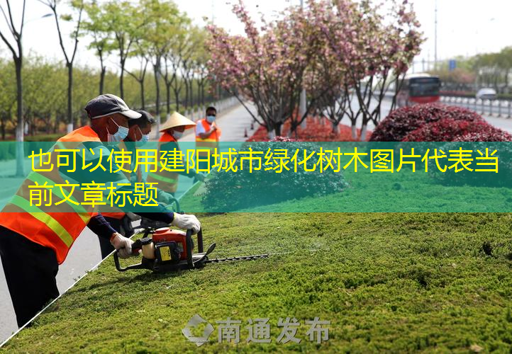 建阳城市绿化树木图片