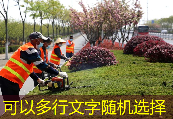 新乡城市绿化改造