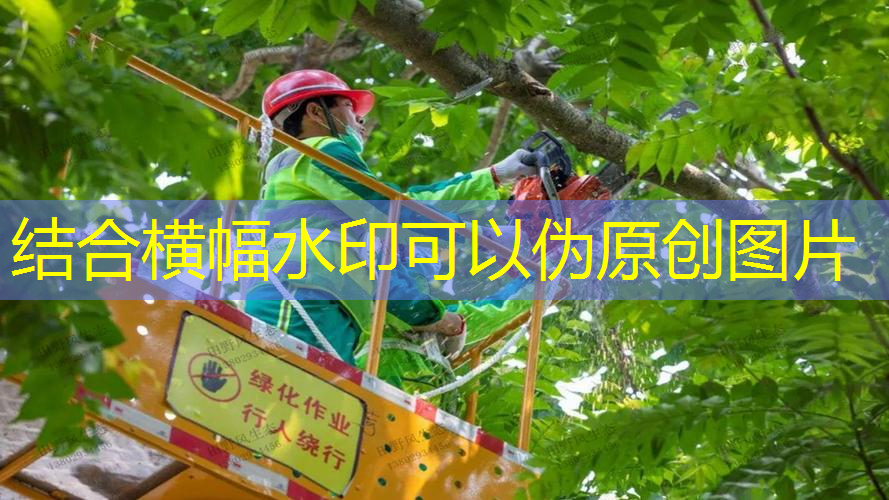 嘉兴园林绿化工程公司电话号码