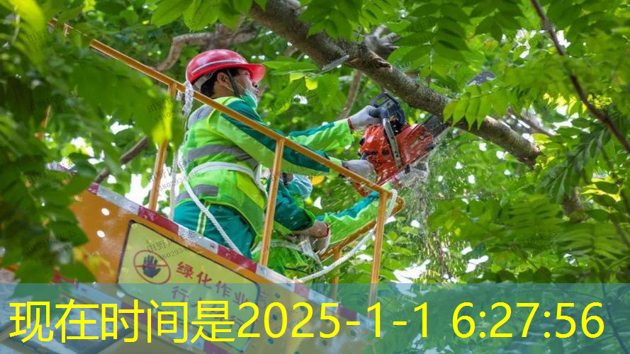 宿迁浩瑞园林绿化工程有限公司