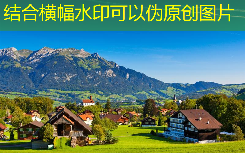 园林管理失职频现，专家建言创新管理模式