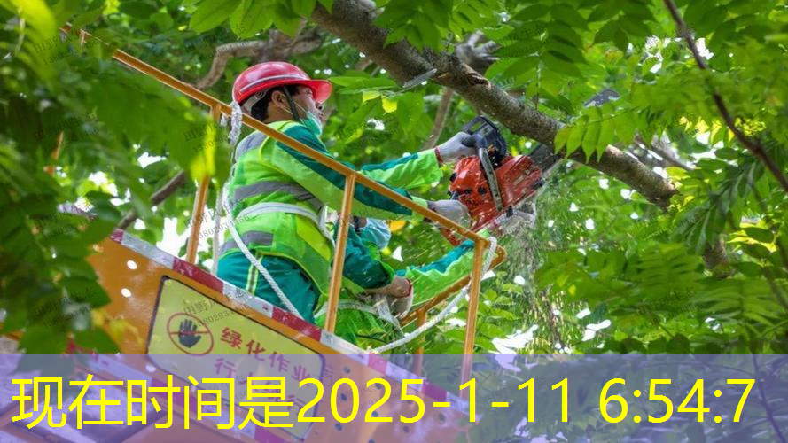 成都城市绿化三级资质有哪些