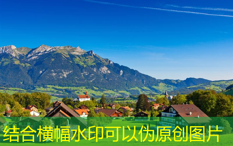 永安园林绿化树苗批发市场