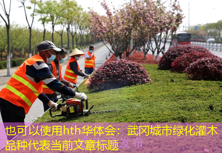 武冈城市绿化灌木品种
