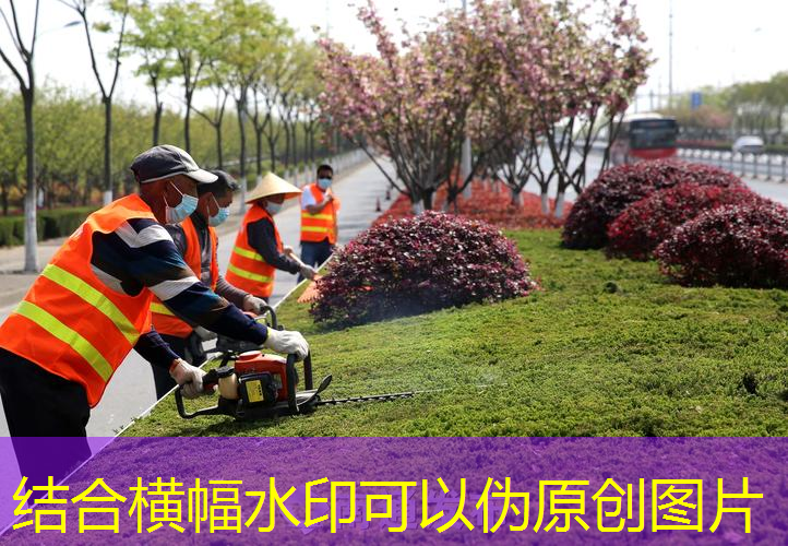 无锡园林绿化用品批发市场
