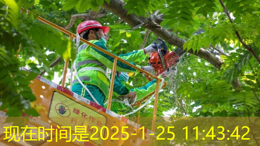室外绿化工程验收表