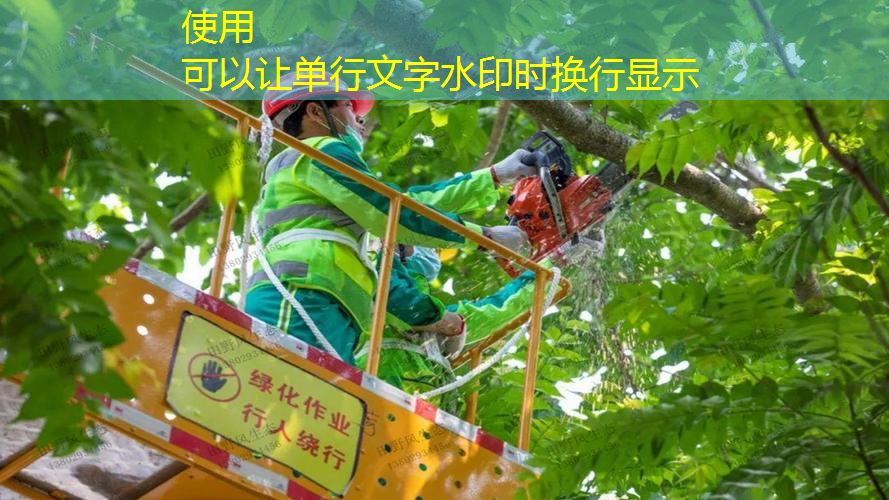 包头综合校园绿化工程项目