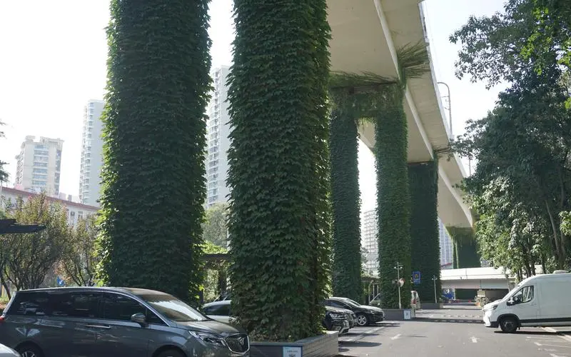 大悦城二期示范区景观绿化工程