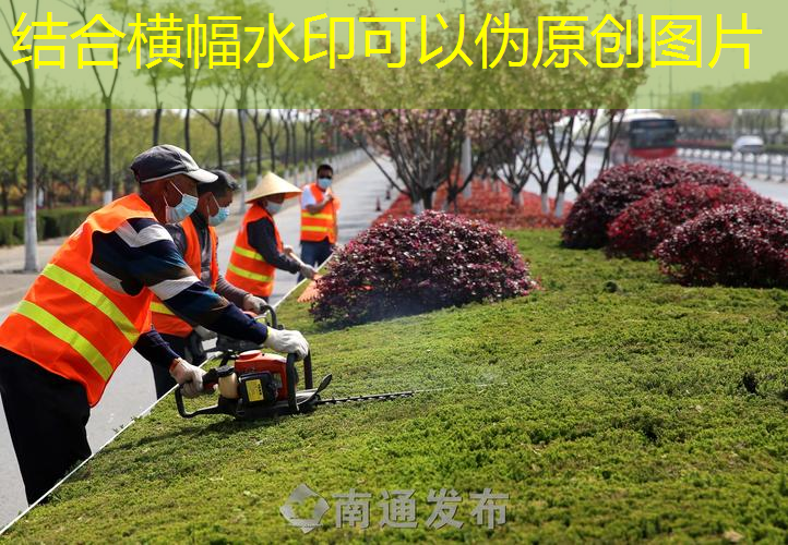 西城园林绿化工程企业名录
