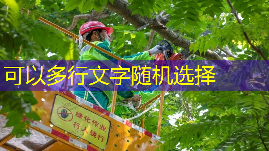 马村安阳城绿化工程
