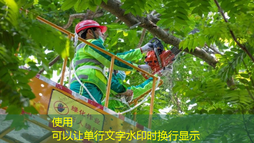 绿化工程在改善水质和水资源管理方面的重要性？