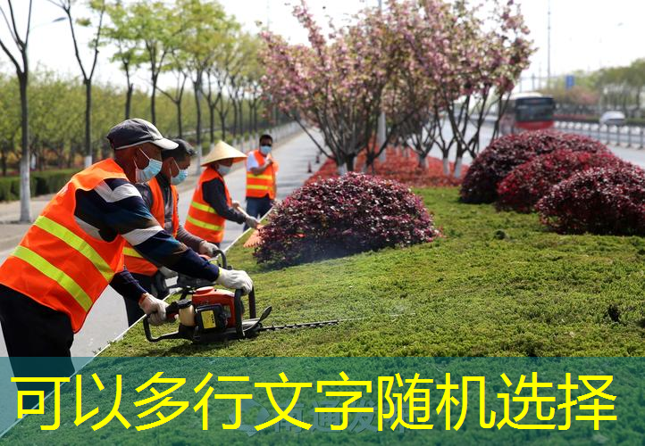 广州绿化工程案例