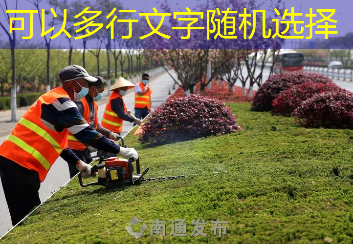 绿化工程在改善居民生活质量和增强城市美感方面的实际效果如何？