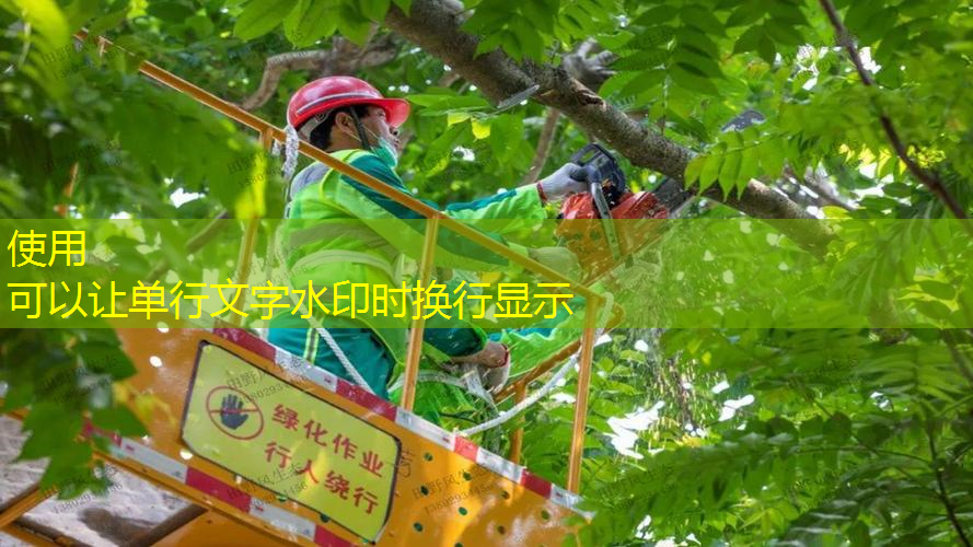 大棚花卉种植新手入门绿化工程