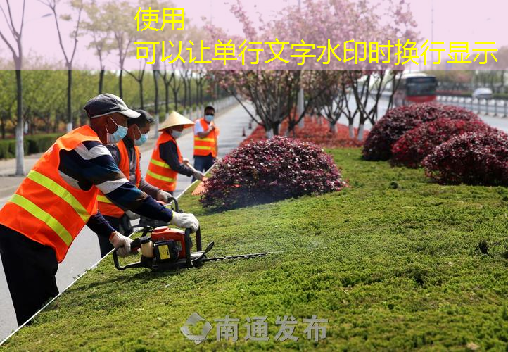 扬州绿化工程批发市场地址