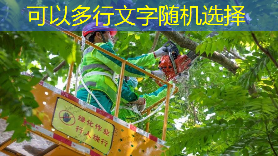 临时绿化工程师证怎么考