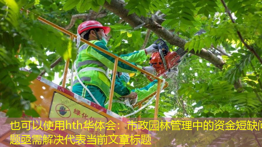 市政园林管理中的资金短缺问题亟需解决