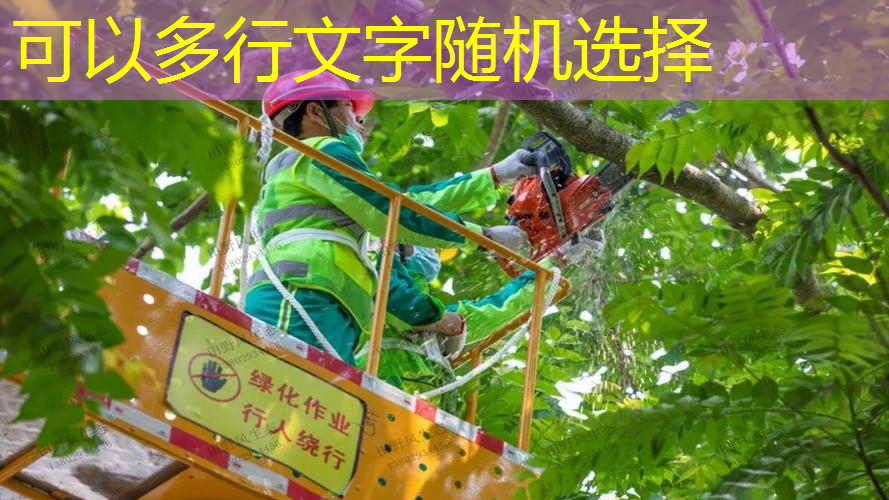 高陵区园林绿化工程服务至上