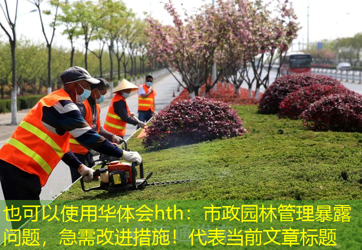 市政园林管理暴露问题，急需改进措施！