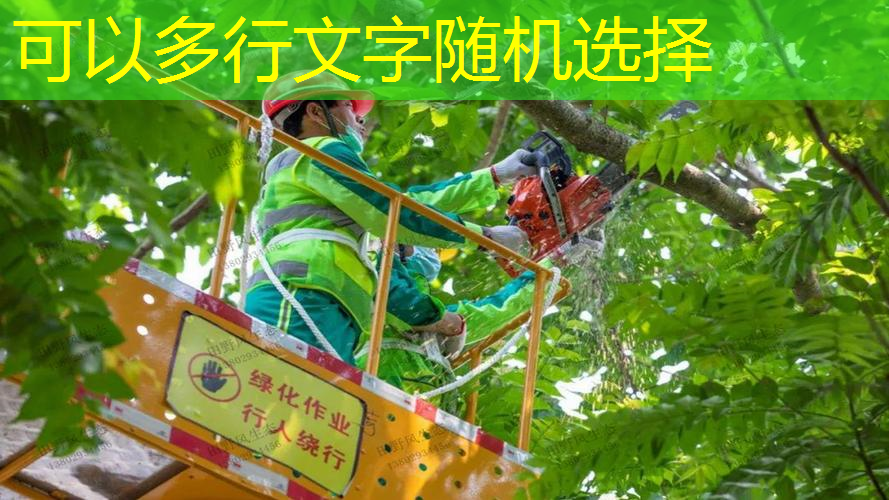 2017园林景观设计