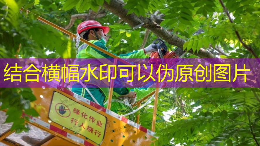 绿化工程成本汇总表格模板