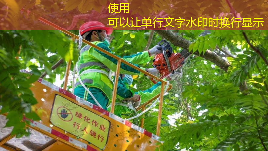 80亩园林景观设计
