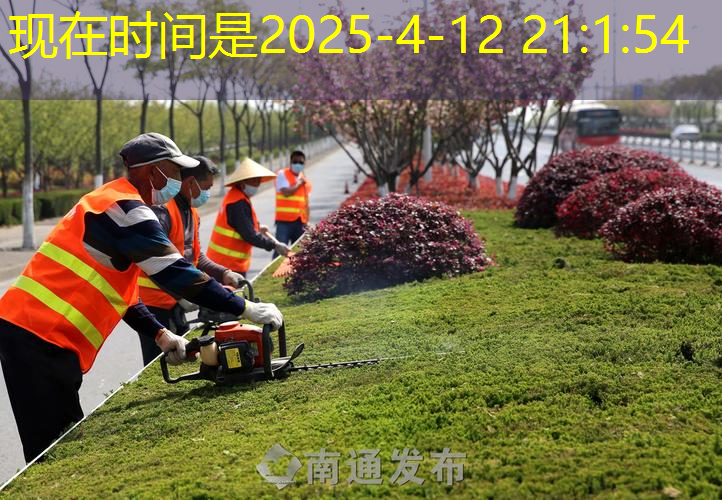 巩义石楠花绿化工程