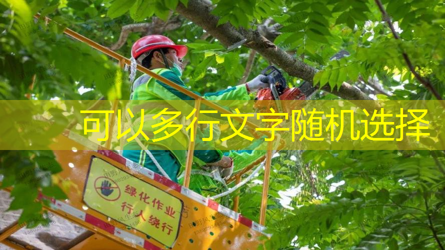 家庭园林景观设计灯光