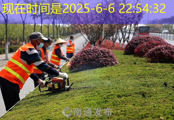 园林绿化工程观摩方案模板