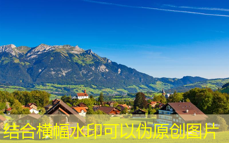 宝山区草坪绿化工程服务