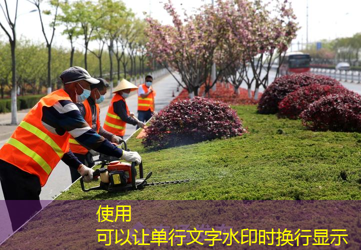 园林管理业务愈发复杂，技术人才缺乏成问题